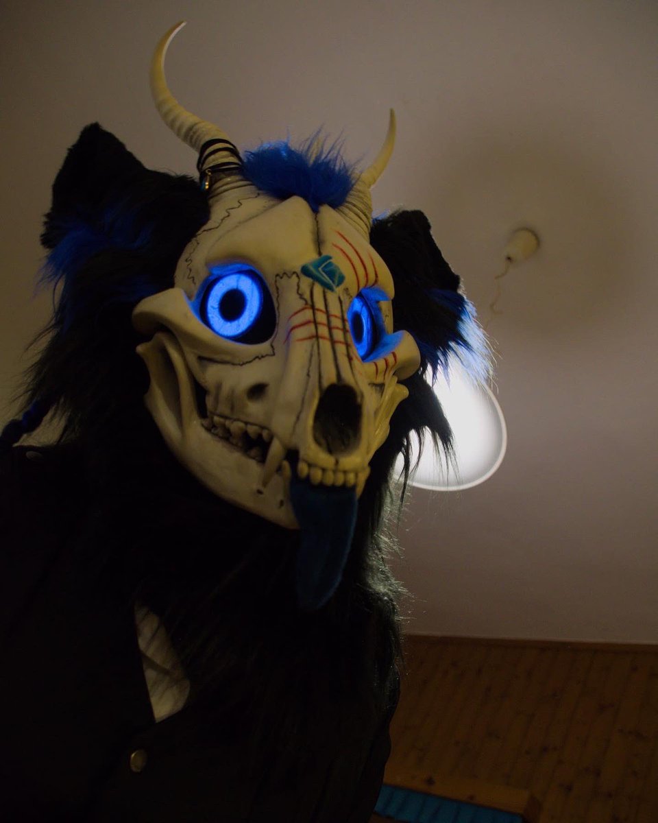 Skarlet249's tweet photo. Did i hear Cookiesπ and yes Yuto was always so hungry at this con happy #skulldogsunday #furgether πpicture by @TenzotheTiger π suit made by @aunumwolf42 π#furry #furrsuiting #furryfandom #furrysofinstagram #furrysona #furryfriend #furrycommunity #skulldog #skull #wolf https://t.co/cPcrQj4gZH
