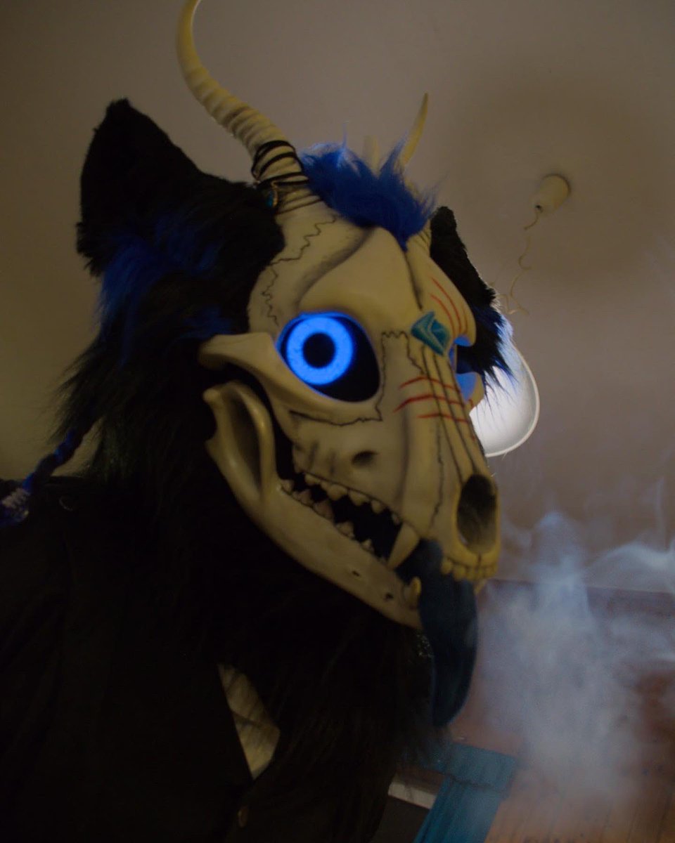 Skarlet249's tweet photo. Did i hear Cookiesπ and yes Yuto was always so hungry at this con happy #skulldogsunday #furgether πpicture by @TenzotheTiger π suit made by @aunumwolf42 π#furry #furrsuiting #furryfandom #furrysofinstagram #furrysona #furryfriend #furrycommunity #skulldog #skull #wolf https://t.co/cPcrQj4gZH