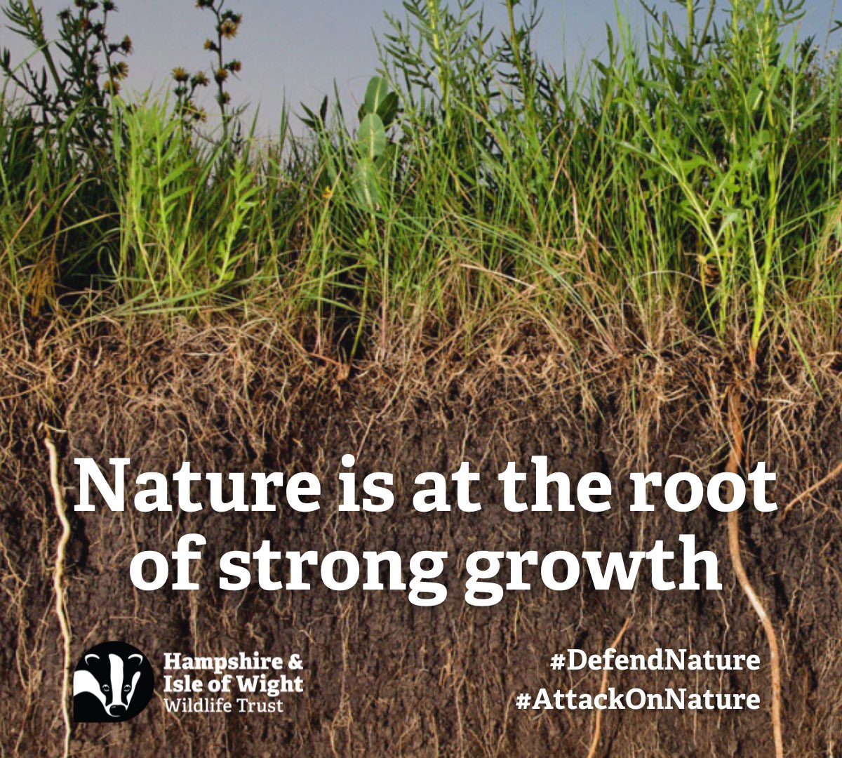 HantsIWWildlife's tweet photo. 1/2: @GOVUK latest ‘#GrowthReport’ says environmental protections are ‘burdens’. But nature isn’t a burden on the economy, it’s at the ‘root’ of strong growth. From food to clean air & water, we only get a thriving economy with a #wilderfuture
#AttackOnNature https://t.co/kzYzYmXK9m