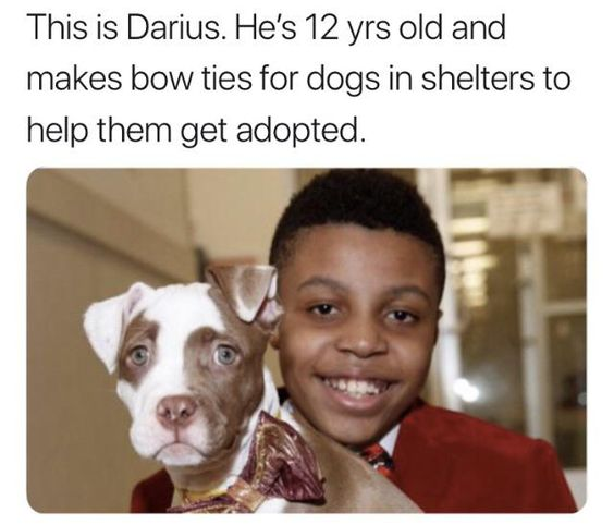 WholesomeMeme's tweet photo. https://t.co/5DgQoktGzd