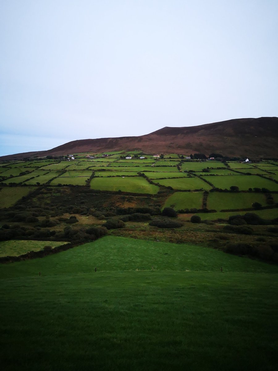 BSandBoardgames's tweet photo. When you're in Ireland but all you can think of is how much it looks like Catan 😂 I have sheep 🐑 https://t.co/HRllHWgc3i