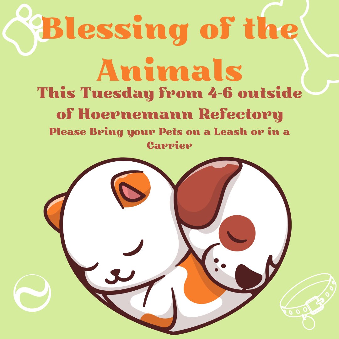 Heidelberg Religious Life tweet media