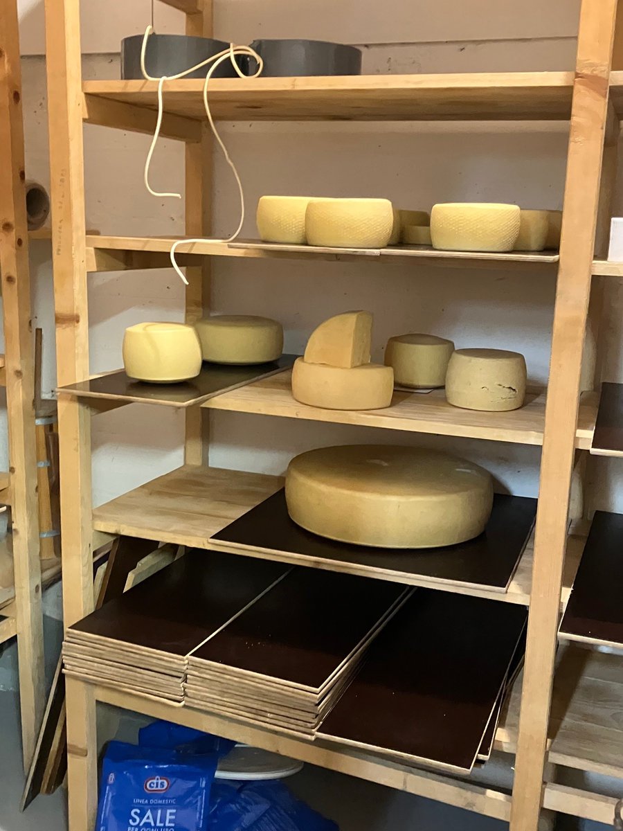 EleveursChevres's tweet image. La #FNEC et la #FNPL sont de nouveaux présentes au congrès de #FACEnetwork qui a lieu cette année en Slovénie à Bohinj! 
Ce matin, assemblée générale avant les visites de fromageries fermières l'après-midi. 
Des moments de découverte et de convivialité!