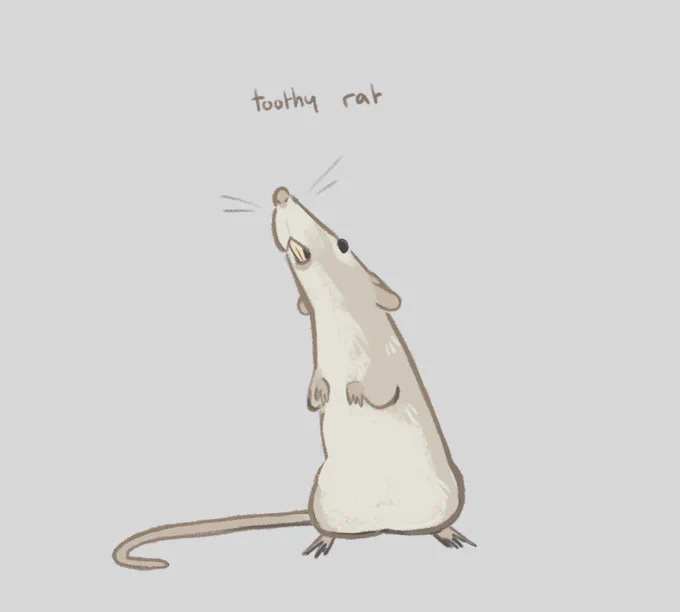 toothy rat  