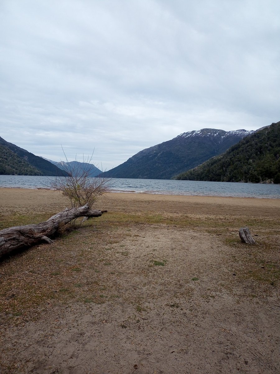 martinbrocardo's tweet photo. Lago #Traful desde Pichi Traful #Patagonia 🇦🇷 https://t.co/Gf7F7ANvBF