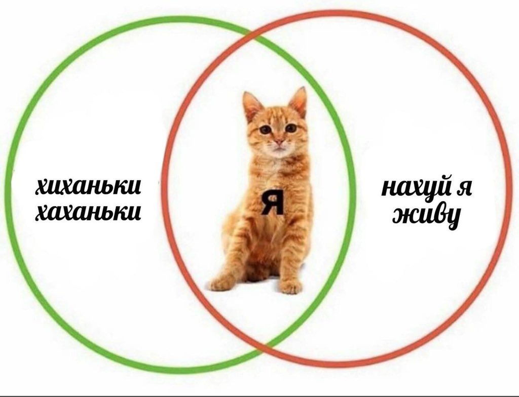 asya_lnv's tweet photo. слишком жиза https://t.co/eWoeMNxrXN