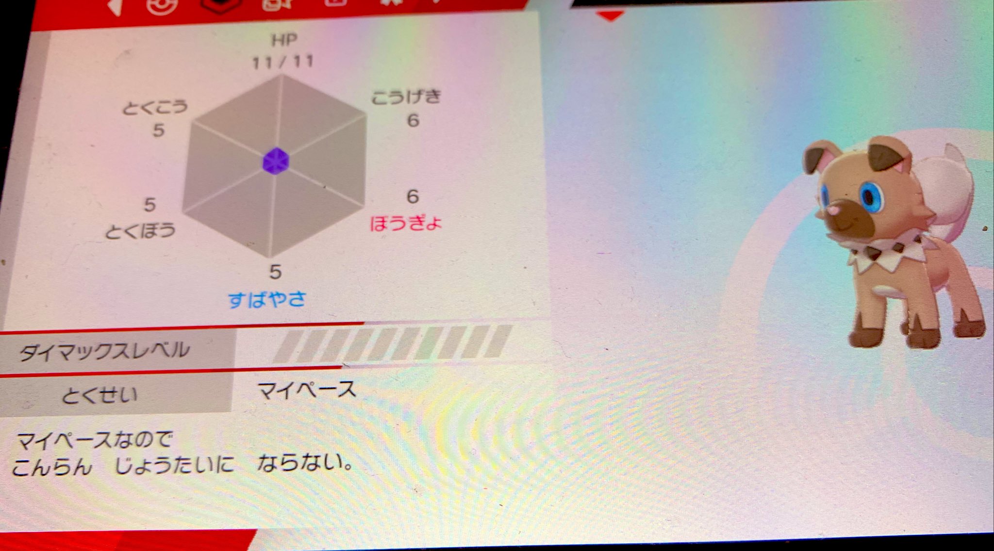 マイペースイワンコ Twitter Search Twitter