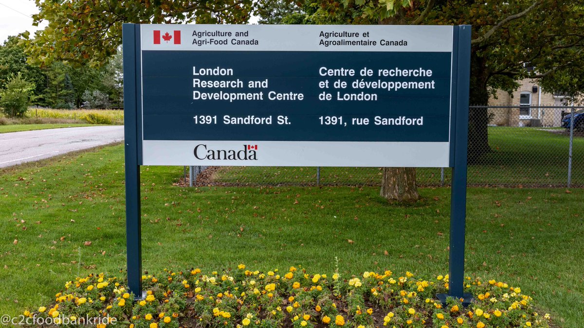 c2cfoodbankride's tweet photo. Our last stop before returning to the prairies was at @AAFC_Canada's facility located in London ON. Est in 1951 researchers here focus on field crops and bio-based products/processes and develop and transfer technologies for integrated pest management.
#supportcanadianag https://t.co/mDxXy3h79g