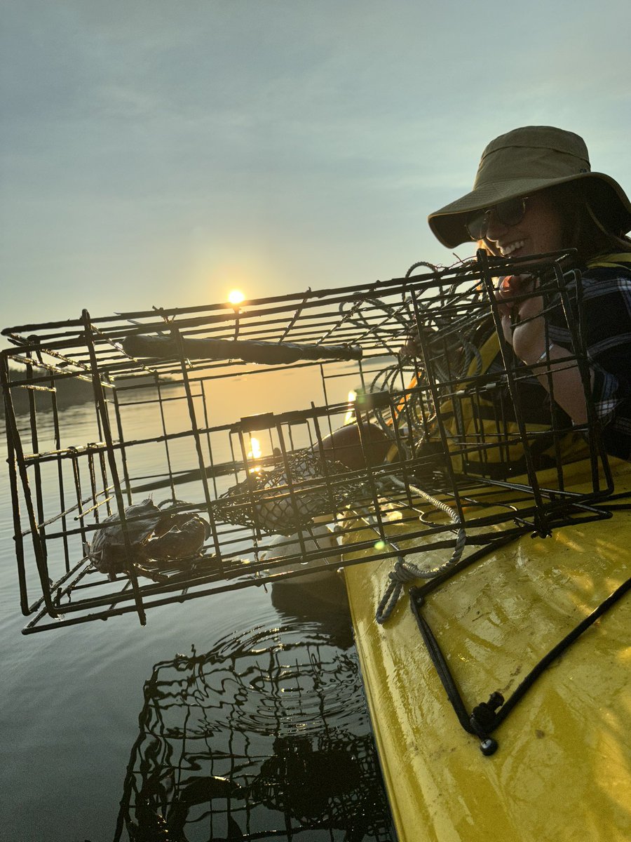 Kelley Bayern on Twitter "Kayak crabbing off Lopez Island. We caught
