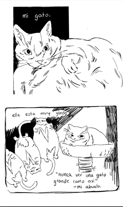 mi aire mi vida mi corazón MI GATO 1/2 