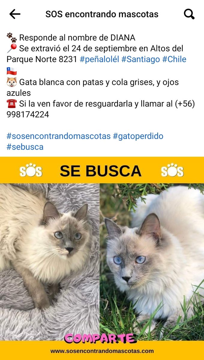 SOS Animales tweet media