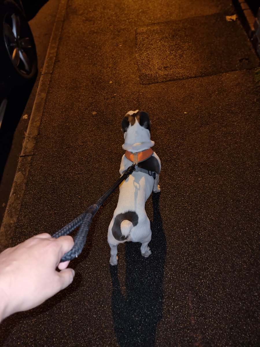 HoworthHoworth's tweet image. Final steps completed towards @Race4Recipients #OrganDonation awareness. What a fabulous weeks it's been to see so many amazing people and PETS all come together for such a vital cause! @Yorkshire_OTDT @MidOrgan @DosMyht @BuglassHelen @myhtcritcare @MyhtTheatres @MidYorkshireNHS