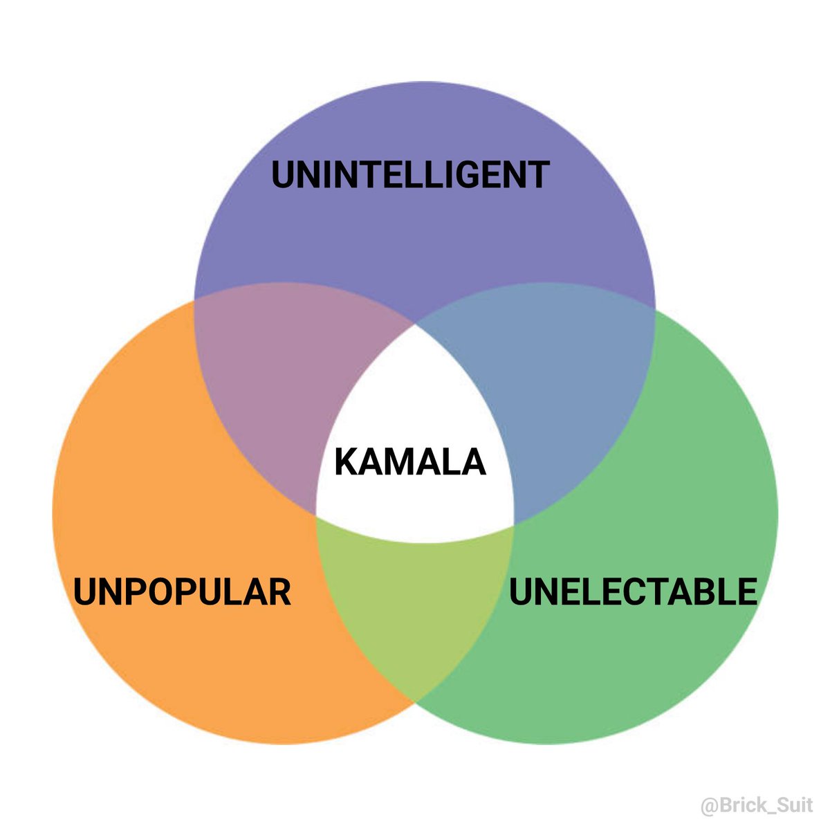 Brick_Suit's tweet photo. @RNCResearch .@RNCResearch, here's the only Kamala Venn diagram you'll ever need. https://t.co/eBCaWdfpfZ