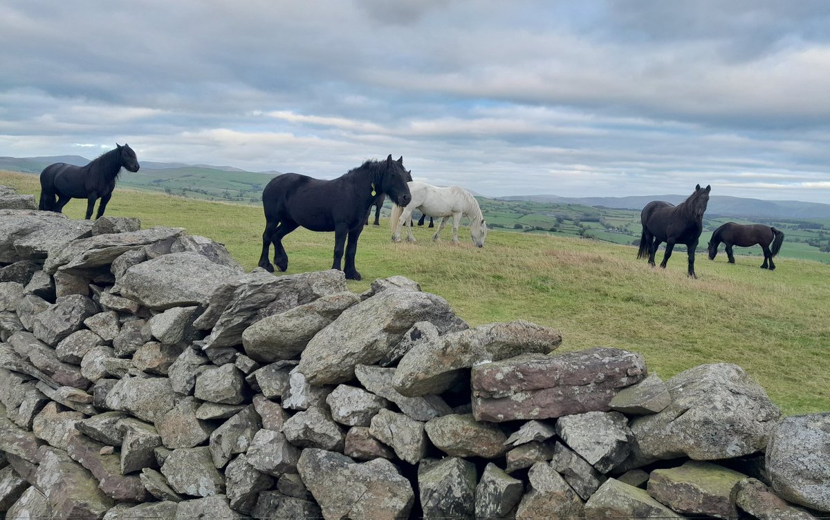 Duncan Fisher 🐦 tweet media