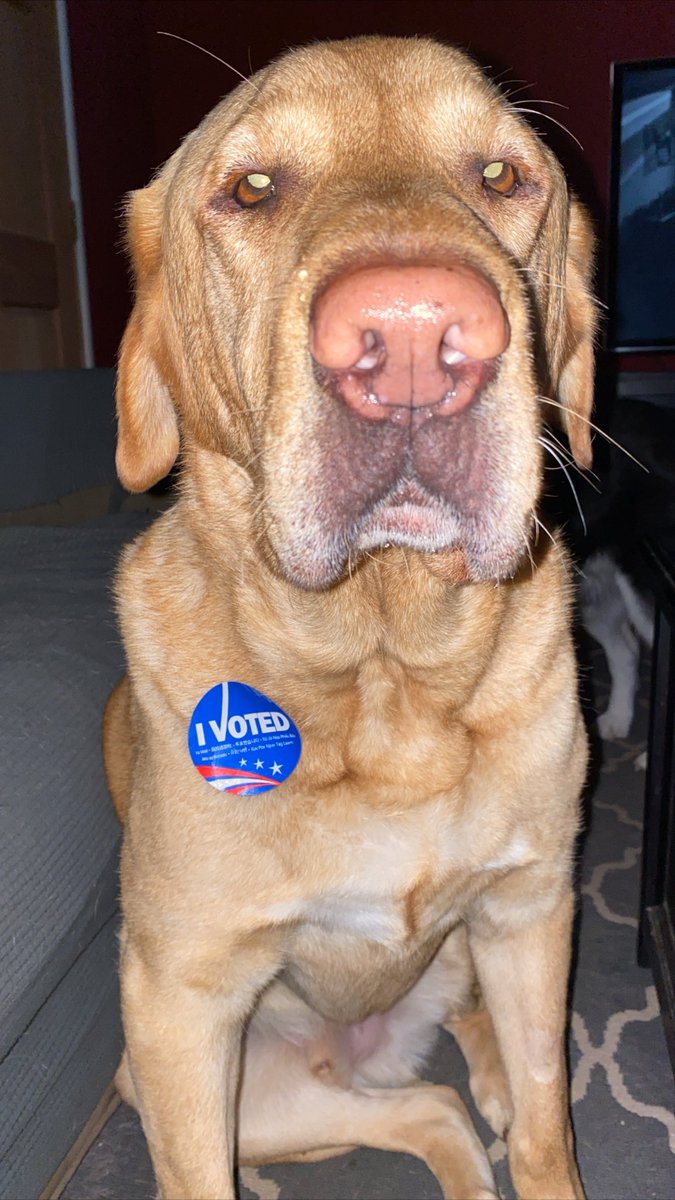 JennGriffy's tweet photo. @caslernoel @CheriJacobus @GOP #buildbarkbetter https://t.co/dqFKhM6Oth