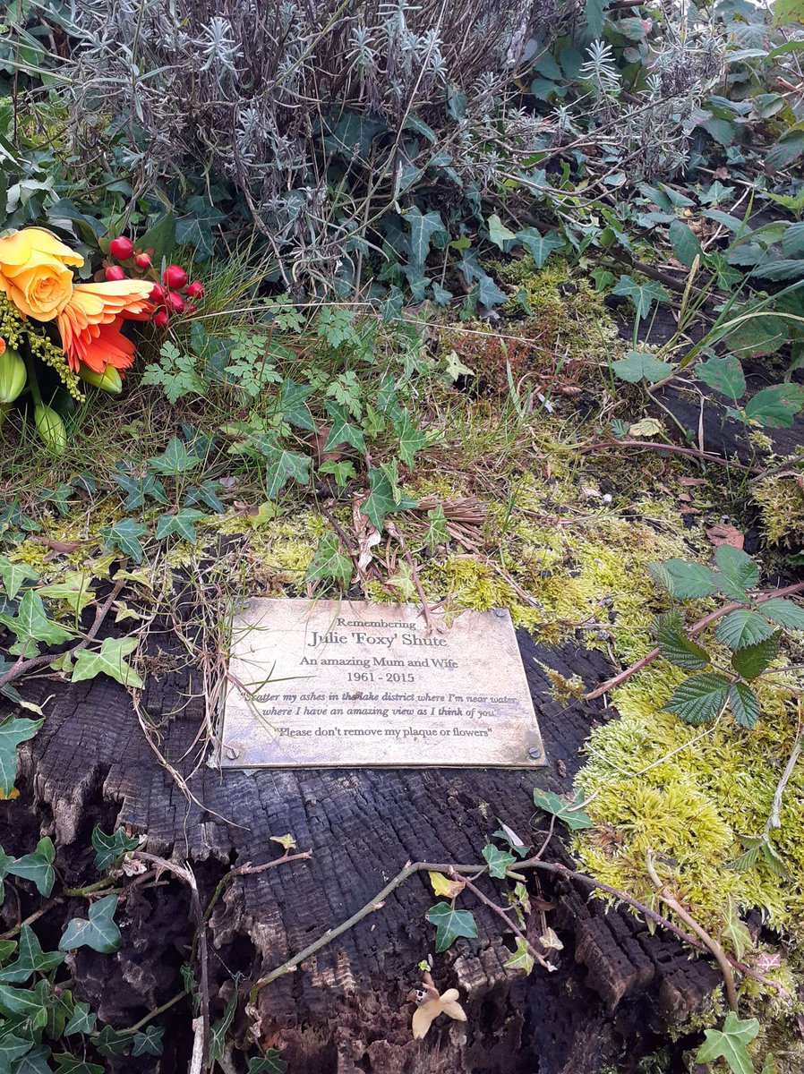 A lovely poignant day around Windermere, I wanted to visit the late Mrs Shute’s (ashes) resting place as this last week was 7 years since our final goodbye to her, she wanted a gorgeous resting place, this piece has matured lovely over time. ❤️