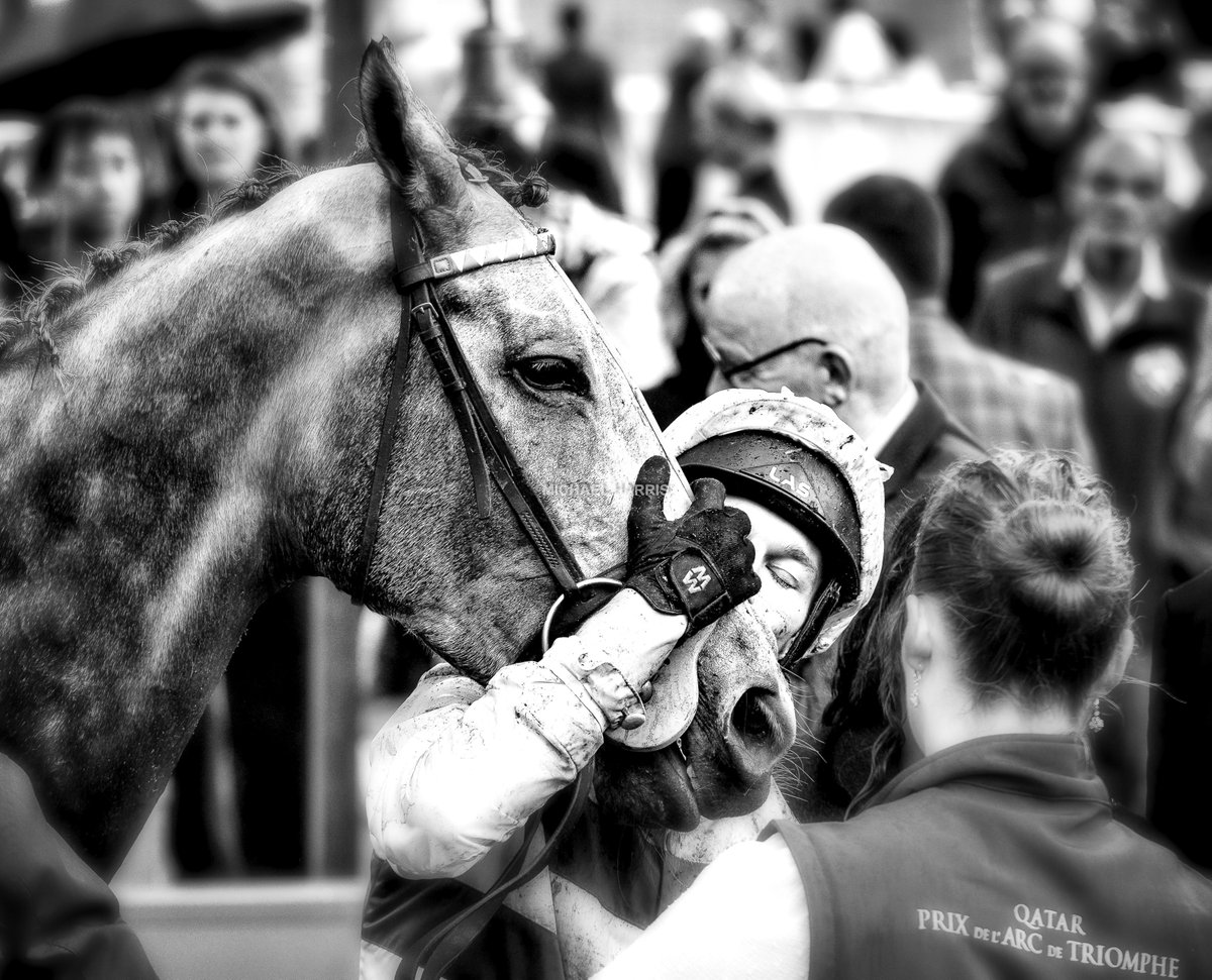 A kiss for ALPINISTA after winning the Arc.