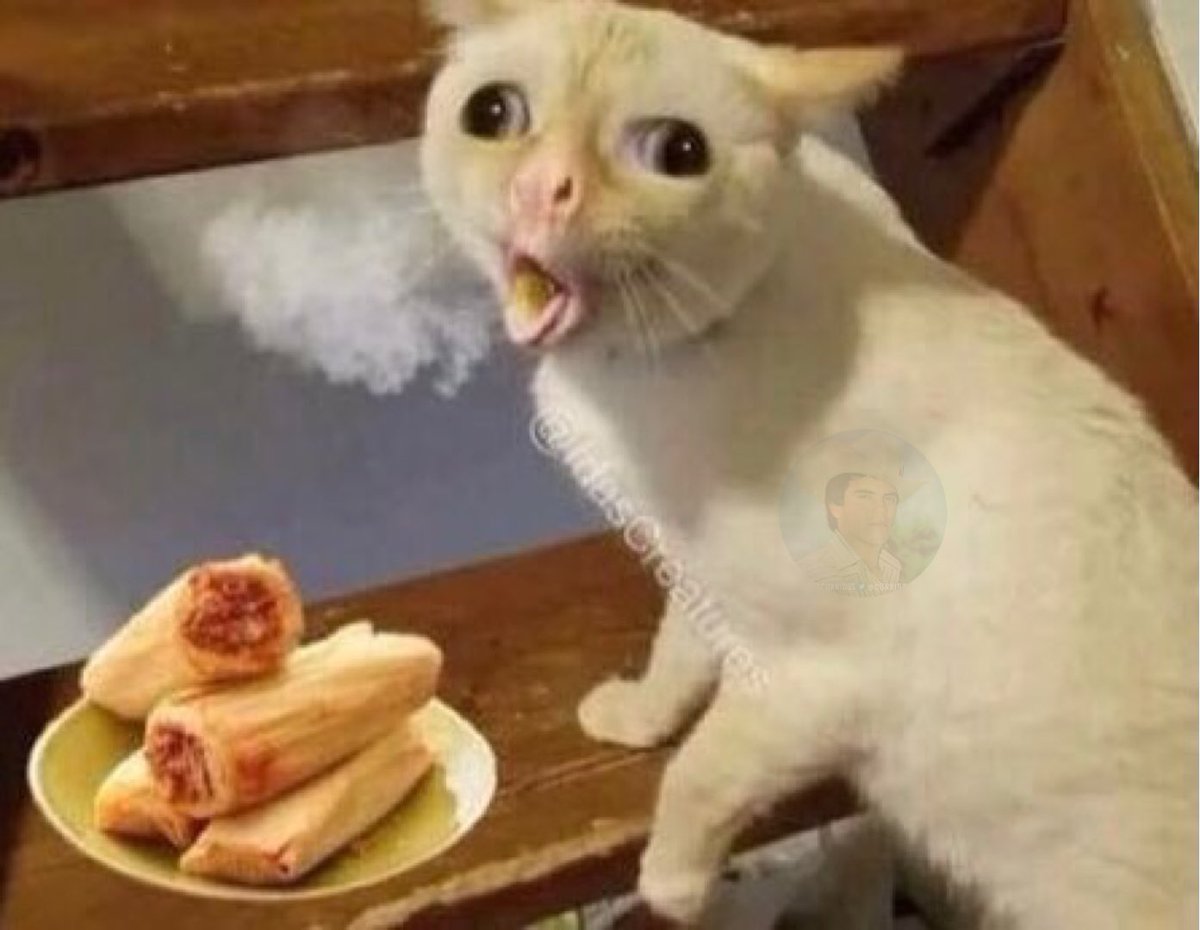 corridosybandas's tweet photo. Cuando muerdes tu tamal pero aún está caliente. https://t.co/vpFiabmB3K