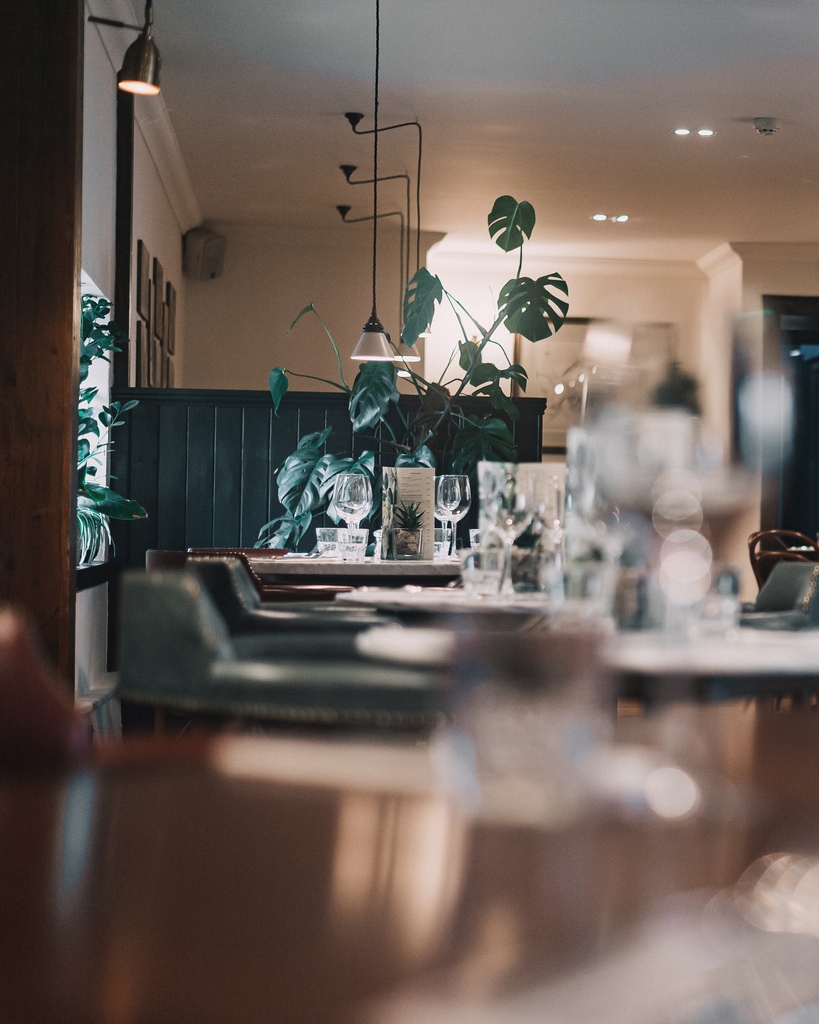 We have completely accepted the fact that our monstera is the star of The Drouthy Cobbler 🌿

 #scottishhospitality #visitscotland #scottishfoodie #scottishfoodanddrink  #speyside #scotland #visitscotland #scottish #scottishginandtourism #scottishhighlands #scottishrestaurant