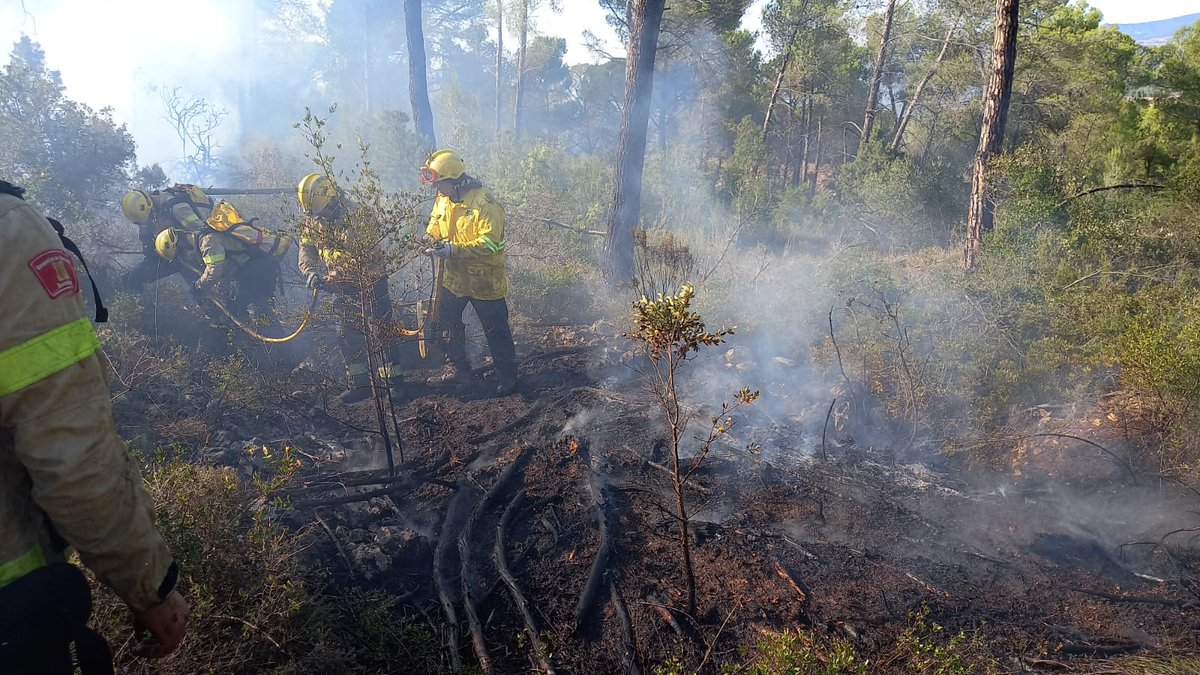 adfanoia's tweet photo. Tarda mogudeta a les Pinedes d'Armengol #LaTorredeClaramunt més de 30 voluntaris/es i 7 vehicles de diferents @adfcat de la comarca i del @federacioADF_PG han estat treballant al #IFPinedesdarmengol 

@sfadfcat @VeuAnoia @infoanoia @anoiadiari https://t.co/M6nNwZnq3L