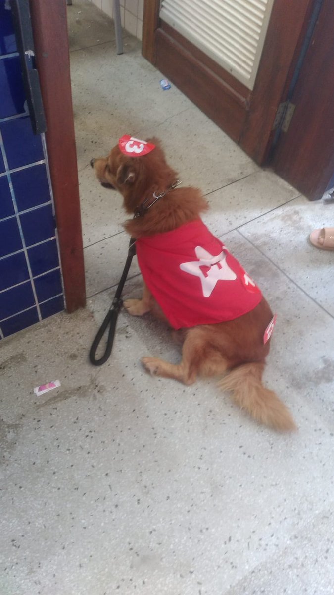 parkfabiano's tweet photo. Twitter: não vão votar de vermelho. Cuidado! Se protejam!
 
A fila de votação: 

#LulaNoPrimeiroTurno13 https://t.co/8lLoOWJ89q