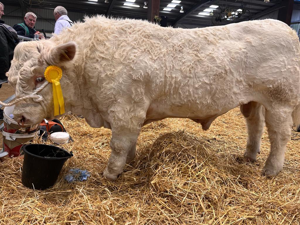 3rd for this fella today. A day of learning..