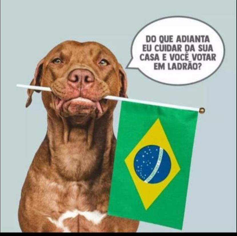 Kleber Sales (@kleberfsales) on Twitter photo 