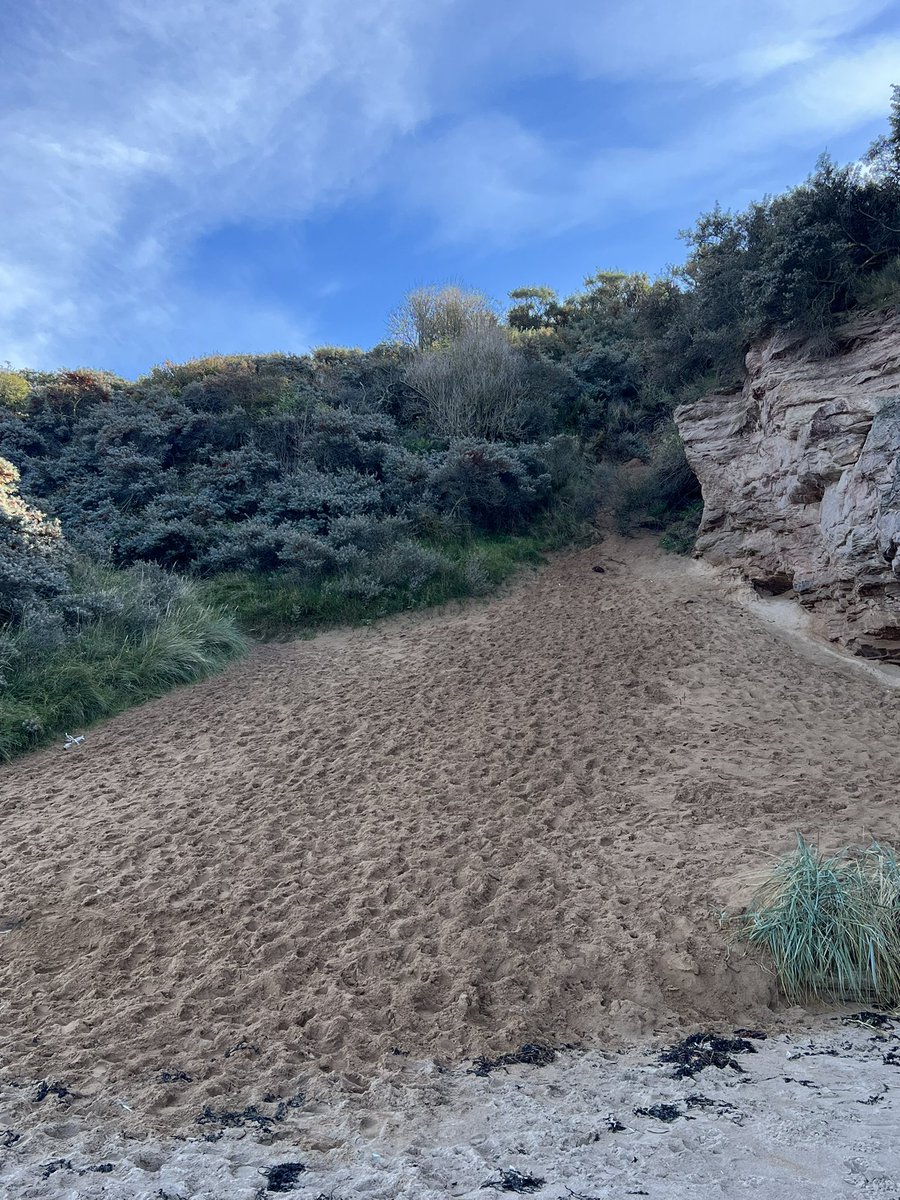goose646's tweet photo. From a former life I fondly remember this bit of beach. The slope is worse than it looks but great for fitness training. Press-ups in the sea in January was maybe too far! Thoughts? #IfYouKnowYouKnow #MurderHill #SFSTS #RecruitTraining https://t.co/YdouoWe46J