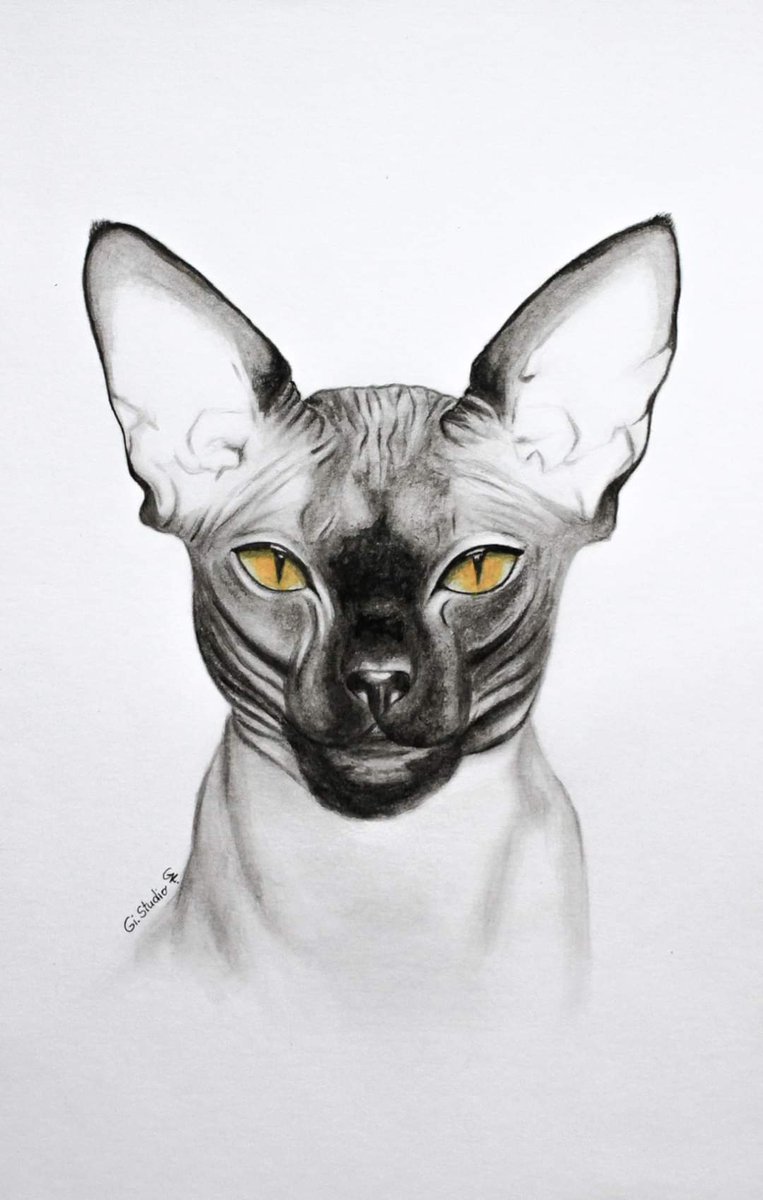 gintare_eth's tweet photo. One of my drawings on paper β
#art #drawing #paintint #sketch
#black #nft #crypto #competition #influencer #influencermarketing #fridayfeeling #MondayMotivation #tbt #traveltuesday https://t.co/P0wvyt11Bd