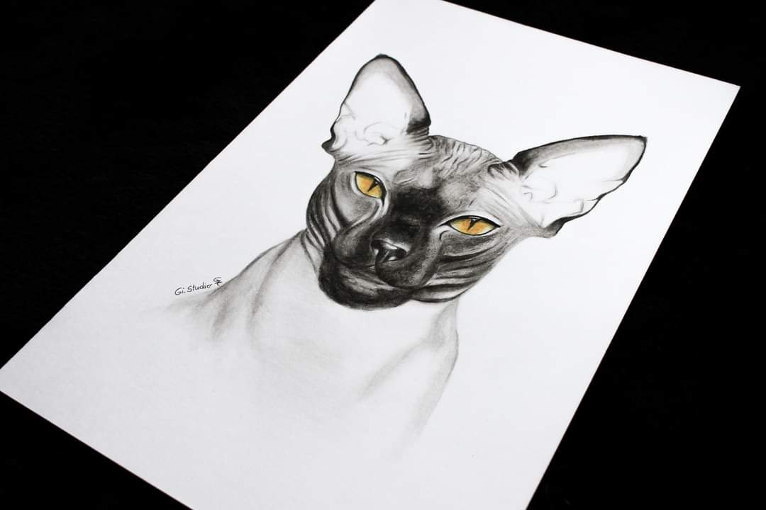 gintare_eth's tweet photo. One of my drawings on paper β
#art #drawing #paintint #sketch
#black #nft #crypto #competition #influencer #influencermarketing #fridayfeeling #MondayMotivation #tbt #traveltuesday https://t.co/P0wvyt11Bd