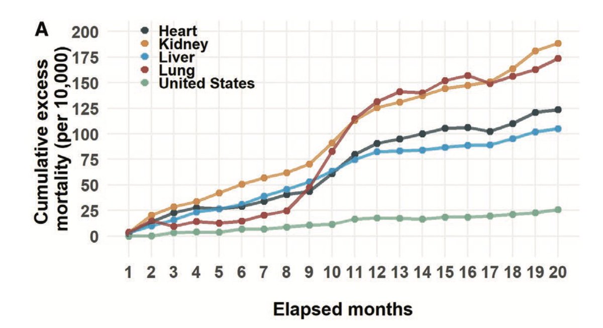 Solid organ transplant recipients experienced greater excess mortality during the COVID-19 pandemic than the general US population. Explore more at transplant.jacobaclarke.com
<a href="/kkorenblat/">KMK</a>