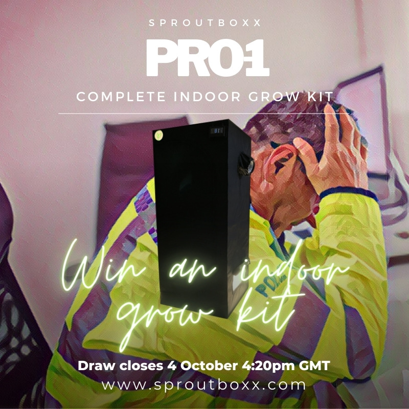SproutBoxx's tweet photo. Just under 48hrs left with our π¬π§#UK indoor grow kit competition https://t.co/Gy5dytWqiT so if you haven't entered, get cracking ...and there's another worldwide #sproutboxx comp on it's way soon too! #growyourown #Mmemberville #cannabis #competition https://t.co/gDDpIOEXVP