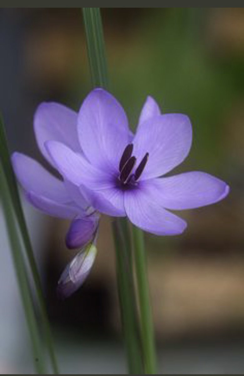 Dua imkansızın belini kırar …💟