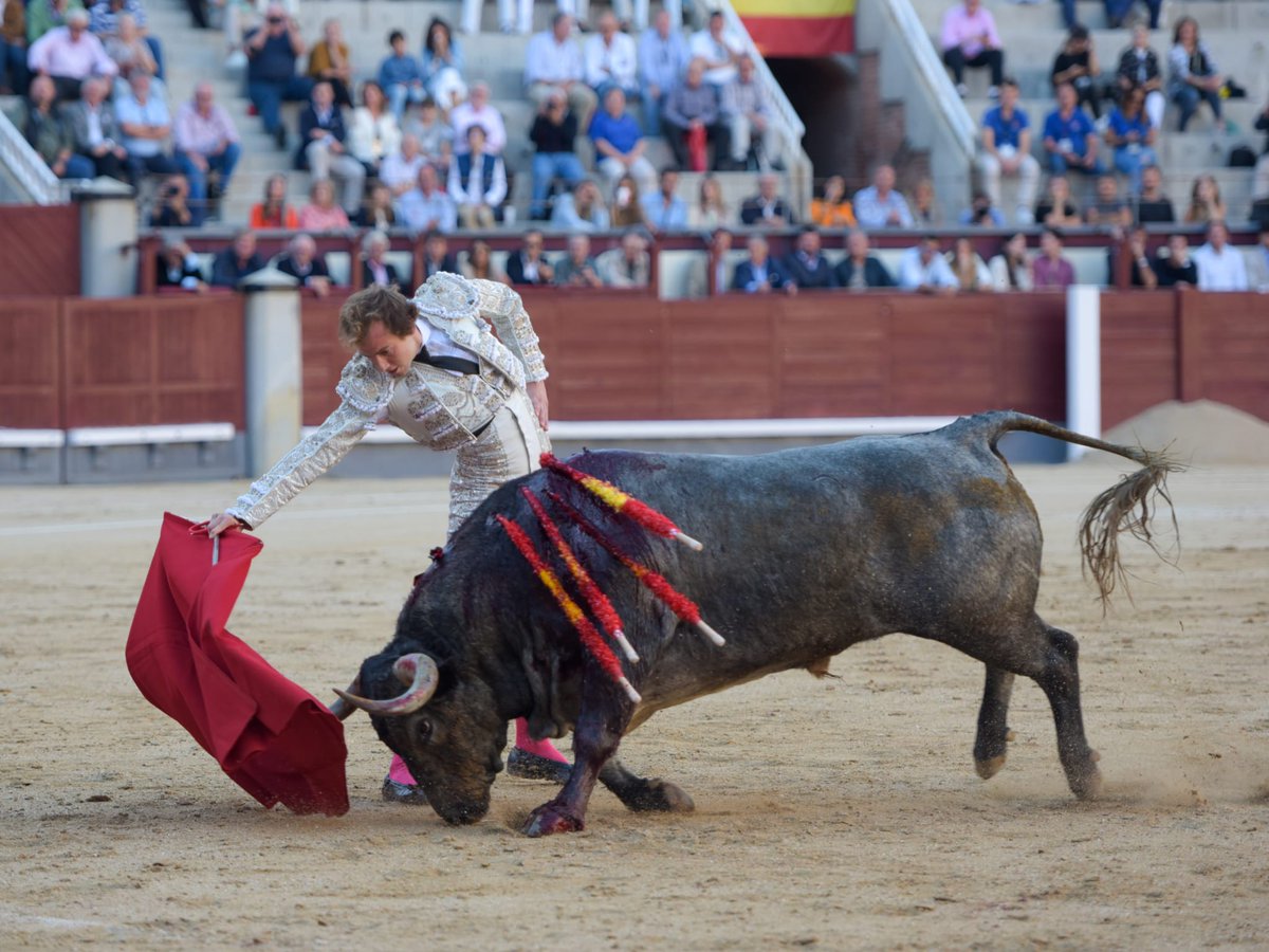 AVANCE LAS VENTAS.- Tarde sin trofeos tras el tercero <a href="/aadolfomartin/">Adolfo Martin</a> <a href="/DeTorresAdrian/">𝐀𝐃𝐑𝐈Á𝐍 𝐃𝐄 𝐓𝐎𝐑𝐑𝐄𝐒</a> <a href="/AngelSanchezInf/">Ángel Sánchez Inf</a> <a href="/Angel_Sanchez12/">Angel Sanchez</a> <a href="/RomanCollado/">Román Collado</a> #LasVentas <a href="/LasVentas/">Plaza de Las Ventas</a> #FeriadeOtoño2022 <a href="/alvaroramirezdc/">Álvaro Ramírez 📸</a>  burladero.tv/festejos/2022/…