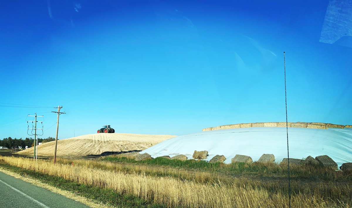 BarrAg2's tweet photo. The 2022 corn silage pit is getting big 💪🏻🌽🚜 still a couple of fields to go...

#corn2022 #cornpit #cornsilage #barrag #farm #seeding #rolling #harrowpacker #season2022 #hay #timothy #alfalfa #corn #grain #canada #alberta #harvest https://t.co/6KPPPCujkC