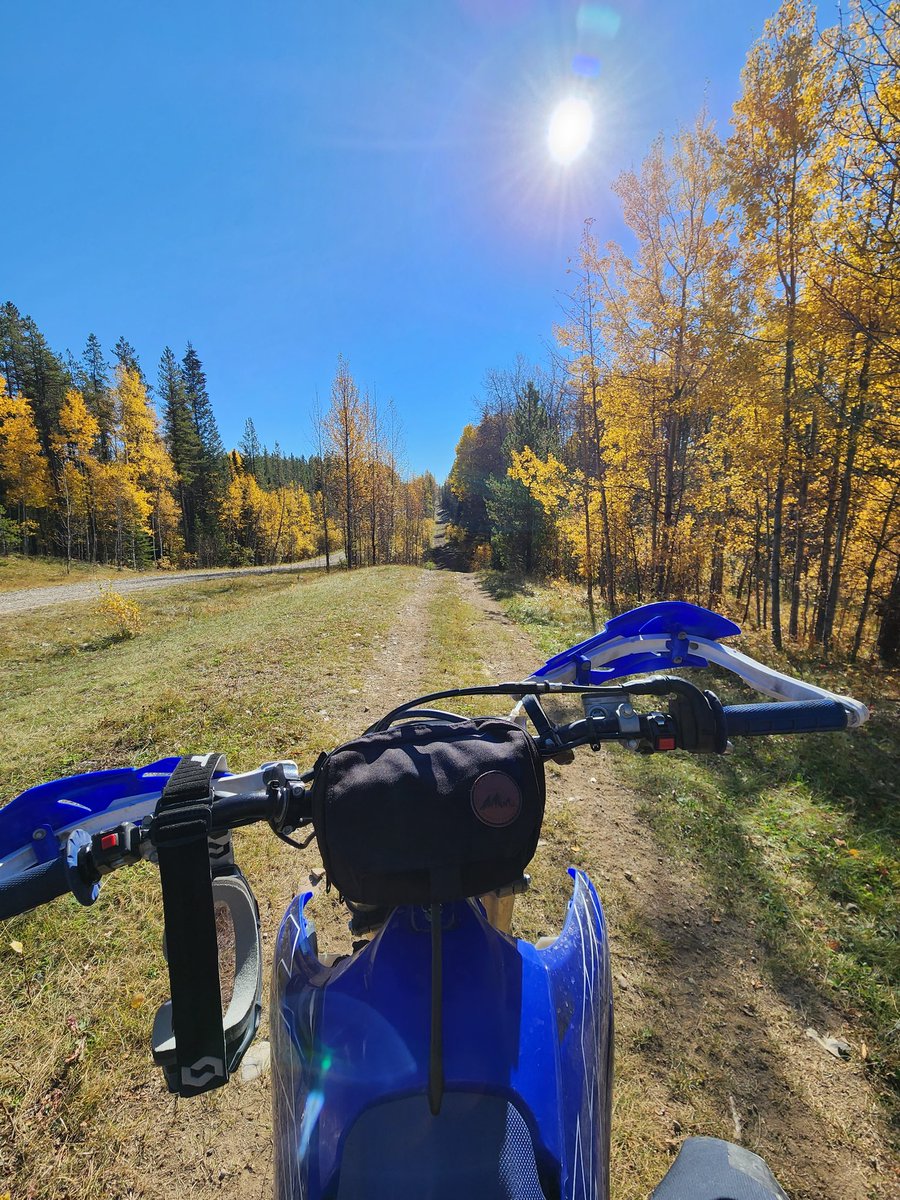 MikaylaMorden's tweet photo. Finally some seat time now that corn silage and most harvest is wrapping up ๐๐ #fallriding https://t.co/9Ry0JAe8mS