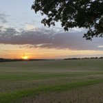 Photo by Friends of Forster Country (@ForsterCountry)