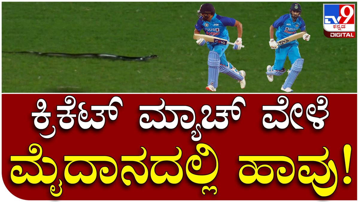 tv9kannada's tweet photo. Ind vs SA T20 ಪಂದ್ಯದ ವೇಳೆ ಮೈದಾನದಲ್ಲೇ ಪ್ರತ್ಯೆಕ್ಷವಾದ ಹಾವು, ಫ್ಯಾನ್ಸ್‌ಗೆ ಆಘಾತ|Tv9 Kannada  

Video Link►https://t.co/dyVcHl2Bxf

 #INDvsSA #T20Series #Snake #SnakeinGround #TeamIndia #SouthAfrica #Guwahati https://t.co/yGFtabUEQa