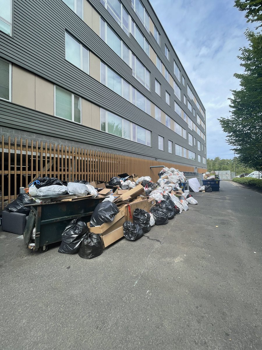 AlexPinckRE's tweet photo. Trash keeps piling up! Over two weeks since the last pick up. @RepublicService  your service sucks. You should be fined or banned. @MassGovernor @CambMA @MayorSiddiqui. Someone needs to republic to pick up today!! @fusecambridge https://t.co/4MTRyEeuWq