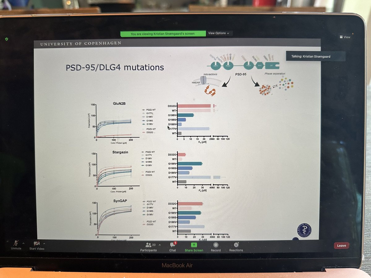 DLG4SHINE's tweet photo. What a great Sunday! We had our first SHINE family meeting to discuss research plans, drug development, and more. 

Thank you to the families who took time to join us today! And a very special thanks to @stromgaardlab, @ZeynepTumer_DK, and Amanda Levy for your time. #DLG4 #PSD95 https://t.co/qKpfGUzwDx