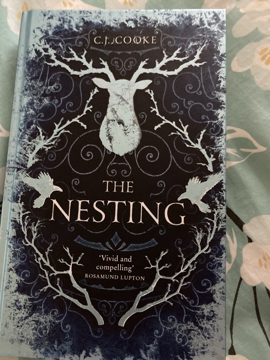 mairedobb's tweet photo. Looking forward to my first spooky read of October @CJessCooke #TheNesting #spooky https://t.co/DAxAleWP3w