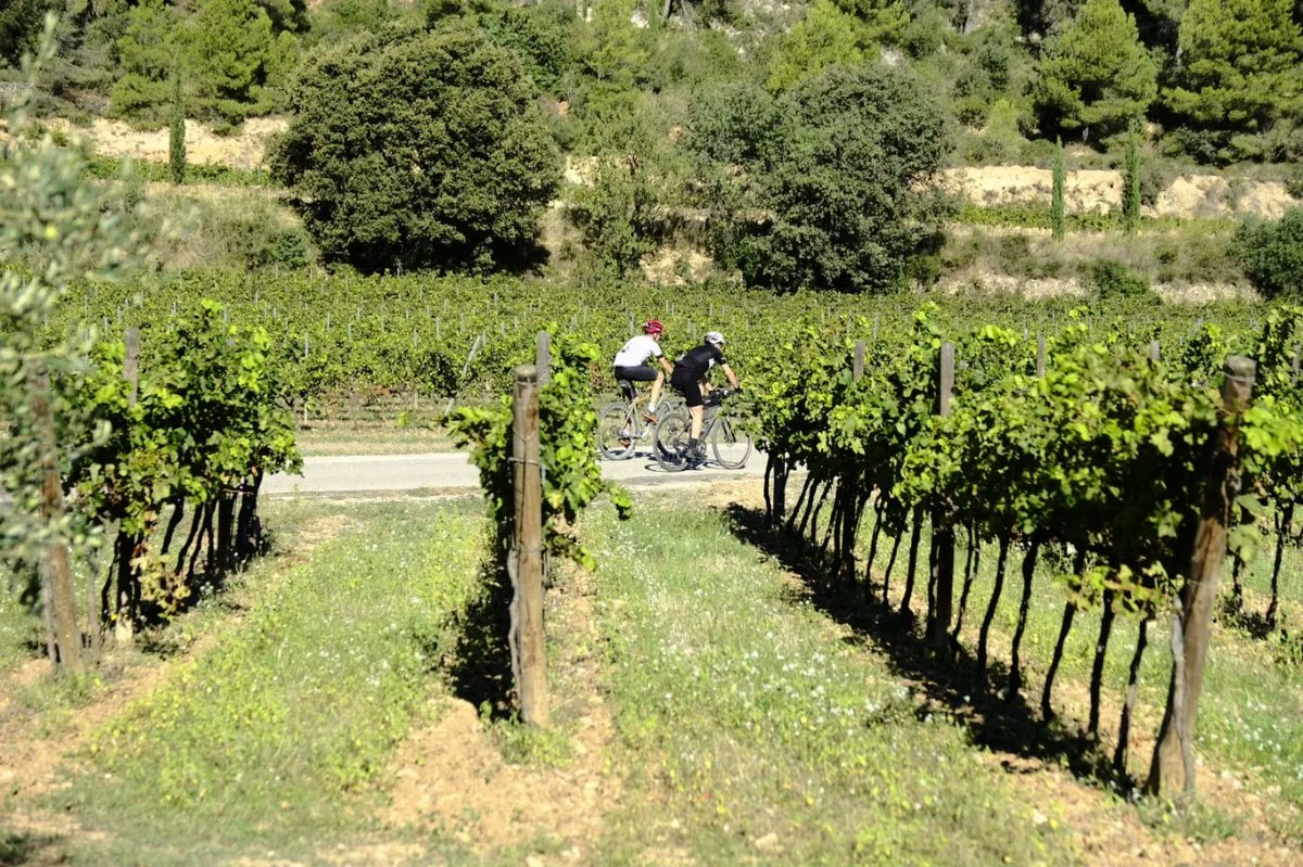 Penedes360Challenge tweet media