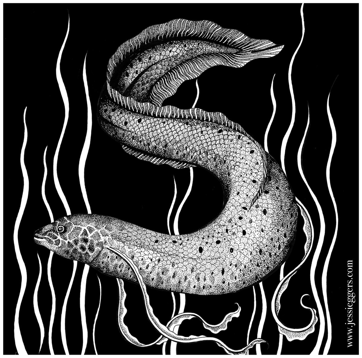 Jessica Eggers tweet media