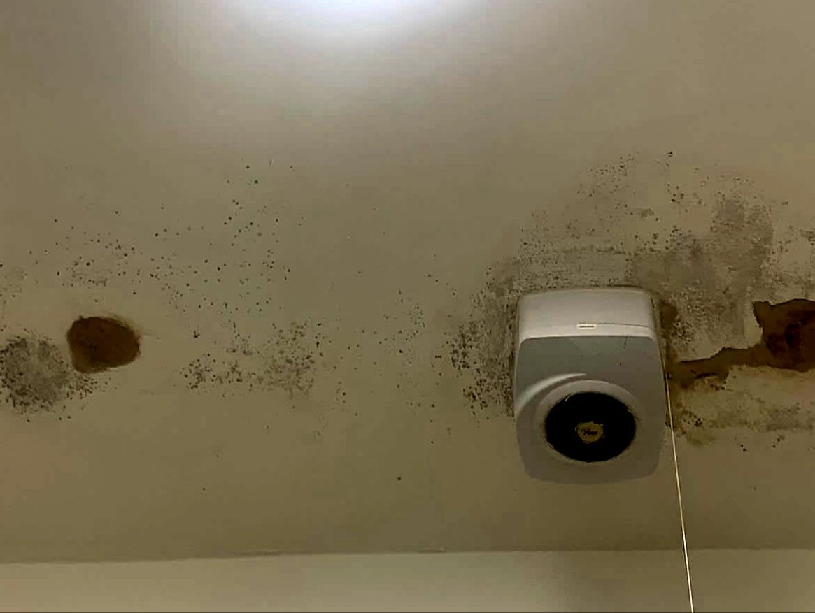 scotty167's tweet photo. @Your_Housing Travis Street, Hyde. Still not fixed despite your promises. 6 months since it was first reported. Internal walls are wet, cold, mouldy. Now affecting neighbours houses too. https://t.co/DRnS4fPHhk