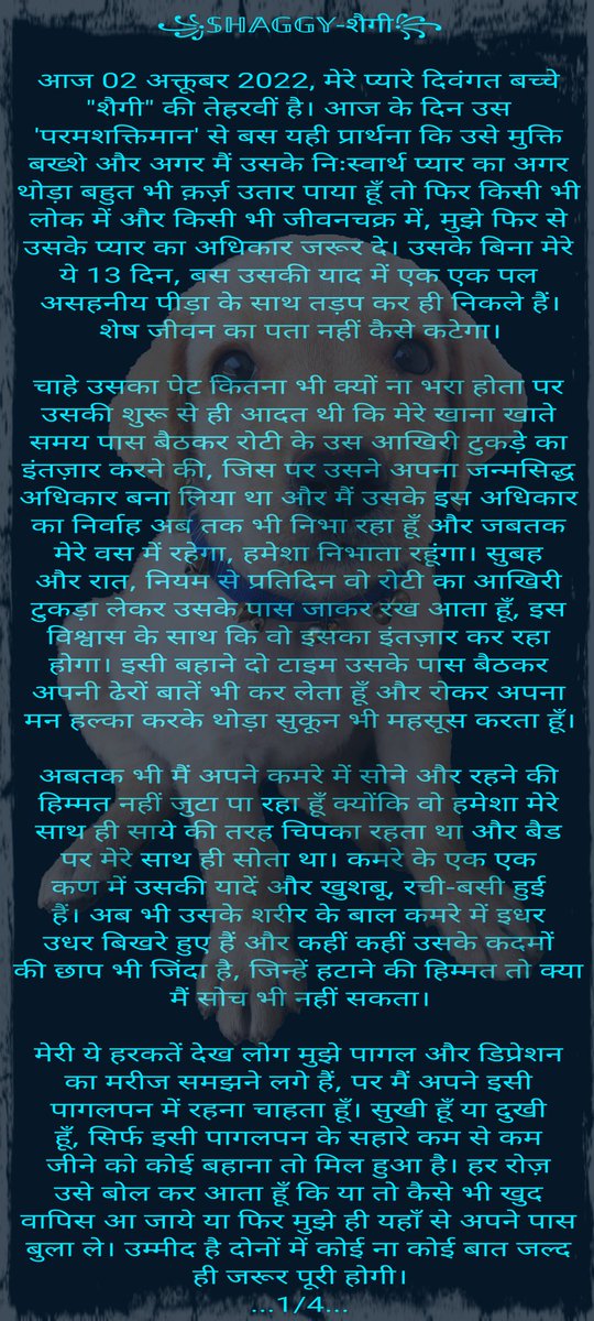 🇮🇳आज का 'देशद्रोही'🇮🇳 tweet media