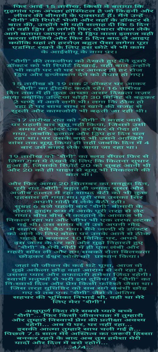 🇮🇳आज का 'देशद्रोही'🇮🇳 tweet media