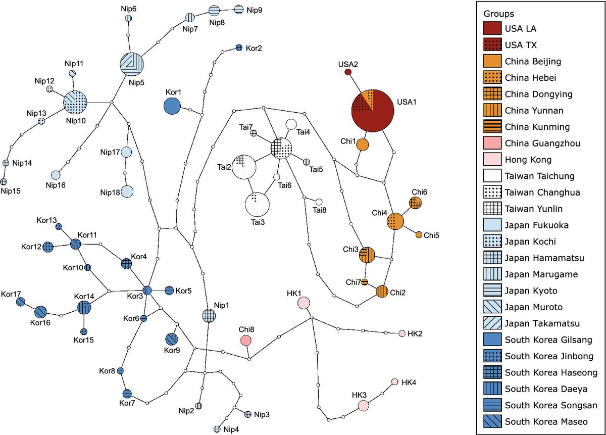 Biological Invasions (@bioinvasions) on Twitter photo Haplotype data and niche modeling point to the origins of Roseau cane scale in the United States and focus the search for biocontrol agents: buff.ly/3uNxUgz
<a href="/USDA_ARS/">Agricultural Research Service</a> Haplotype data and niche modeling point to the origins of Roseau cane scale in the United States and focus the search for biocontrol agents: buff.ly/3uNxUgz
<a href="/USDA_ARS/">Agricultural Research Service</a>