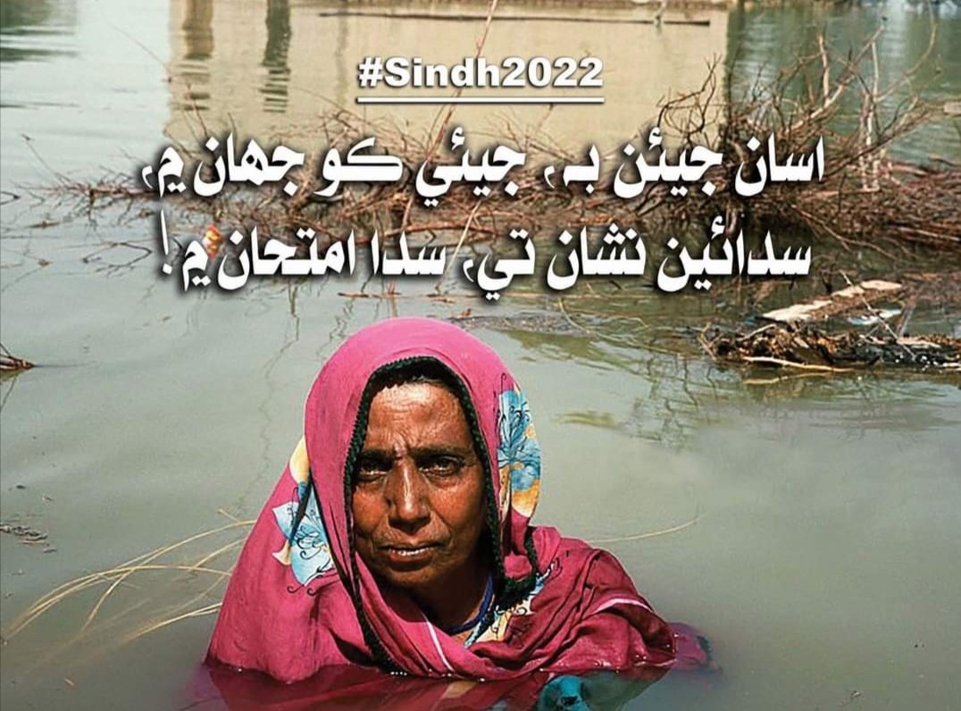 #RehabilitateKnShah