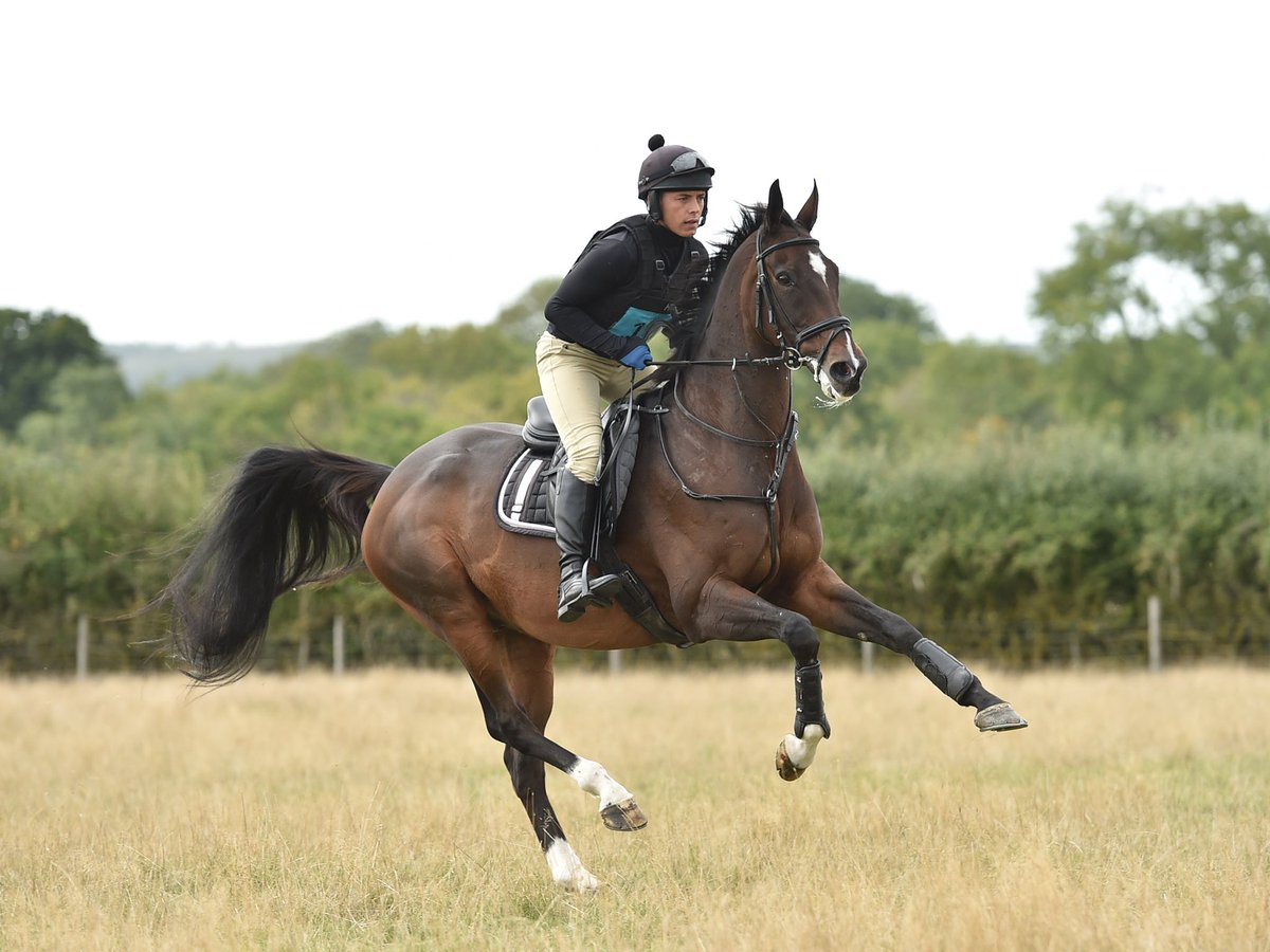 andytllewellyn's tweet photo. Can’t believe we won our first ever Team Chase with the Warwickshire Team Chase.
We were 1 second within the bogey time. A fantastic day with an amazing team and with the most amazing horse! I’m so lucky……roll on the next one! #teamchasing #loveit 🏆🥇 https://t.co/D8Ji0wXjO2