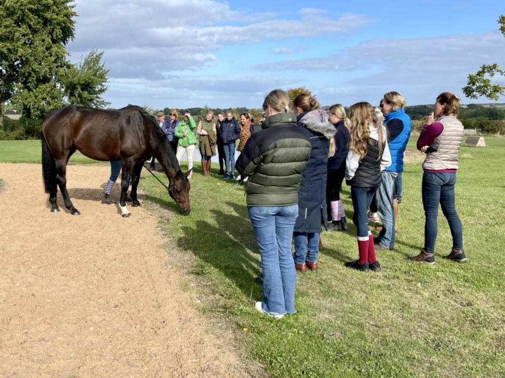 🌟NEW DATE ADDED🌟

New date for ‘A Day With Piggy’ on Sunday 9th October. The last chance to meet Tilly and I in 2022 and enjoy a day out going behind the scenes at Maidwell.🐷🥂🤗

For more info or to book please email Tom on info@piggymarch.com.💌

#TrainWithPiggy #PiggyTV